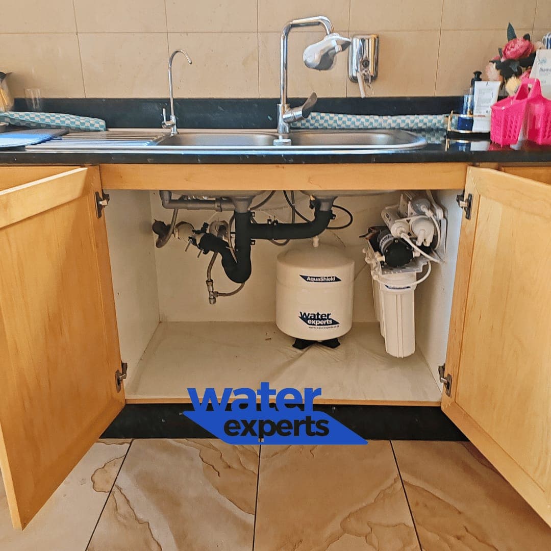 AquaShield Water Purification System